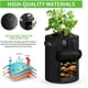 thumbnail image 4 of Bolsa para plantas, bolsas para plantar jardín, bolsa para verduras de 7 galones, bolsa para plantar patatas con ventana de tela no tejida, con asas, reutilizable (paquete de 3) Sailing Electrónica, 4 of 5