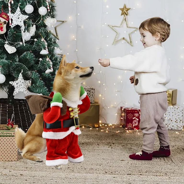 cute dogs dressed up for christmas FUNNY DOGS IN CHRISTMAS COSTUME