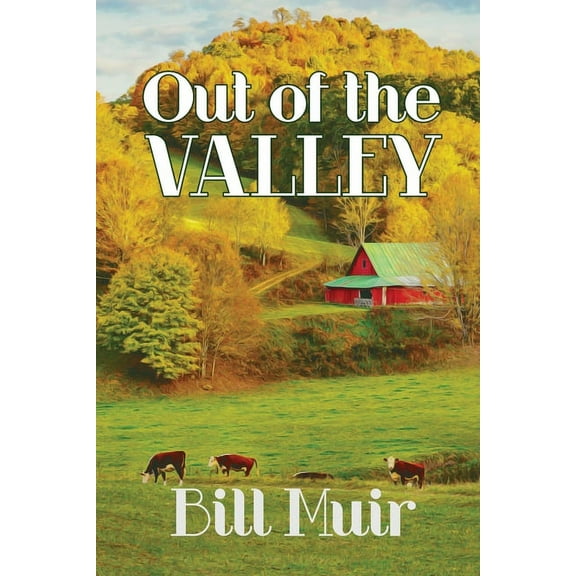 Out of the Valley (Paperback)