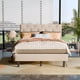 thumbnail image 3 of VERDALAY Estructura de cama de plataforma tamaño completo con cabecero tapizado en terciopelo/estructura de cama con botones de cristal y soporte de listones de madera. No necesita somier beige, 3 of 16