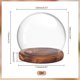 thumbnail image 4 of Campana de cristal transparente con base de madera. Vitrina decorativa., 4 of 7