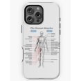 Human Muscles Anatomy Chart Tough iPhone Case, Polycarbonate Shell with ...