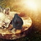 thumbnail image 4 of Silbato Azteca de La Muerte con Forma de Calavera, Auténtico y con Un Sonido Único. El Silbato Azteca Más Potente para Coleccionistas., 4 of 6