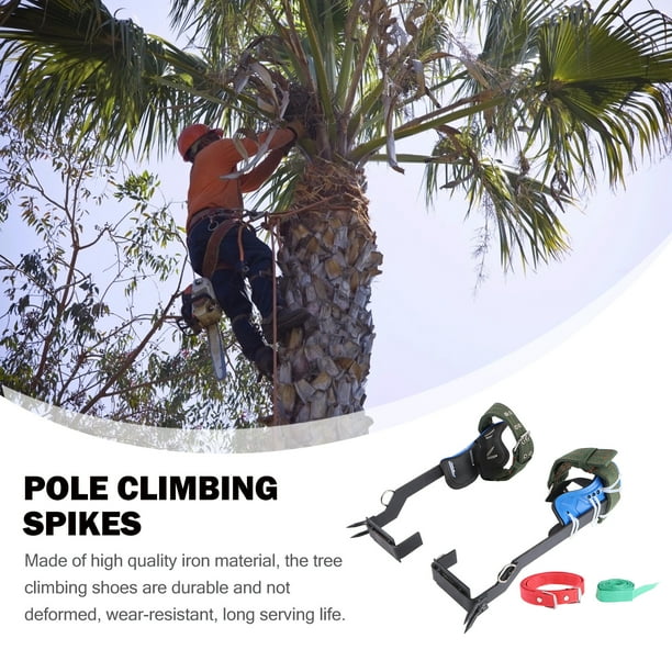 Durable climbing shop shoes
