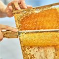 thumbnail image 3 of Scienceny Sombrero de apicultura ajustable con velo Sombrero de apicultor universal con red anti-abejas Suministros de apicultura para apicultores de Jardín y Patio Scienceny TO004939-00, 3 of 6