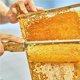 thumbnail image 3 of Scienceny Sombrero de apicultura ajustable con velo Sombrero de apicultor universal con red anti-abejas Suministros de apicultura para apicultores de Jardín y Patio Scienceny TO004939-00, 3 of 6
