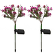 thumbnail image 1 of Mejore su patio, jardín y camino con luces solares para orquídeas para exteriores Radiant Decor (paquete de 2), 1 of 5