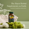thumbnail image 3 of Gaia Herbs St. John's Wort Liquid Phyto-Capsules, 60 Count, 3 of 9