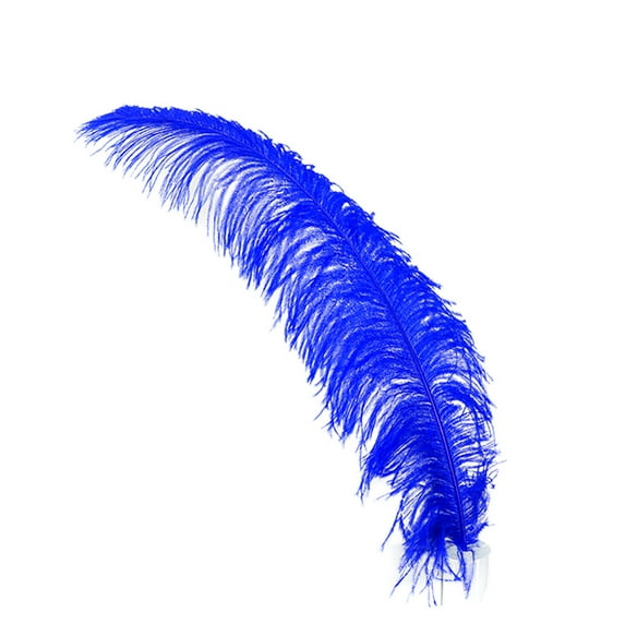 Zucker Feather Products Ostrich Feather Spads - Royal