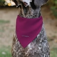 thumbnail image 5 of Star Wars Pet Bandana Star Wars R2 D2 Text and Pop Art Pose Red Black Blue Slip On Collar&nbsp;Bandana Only, 5 of 6