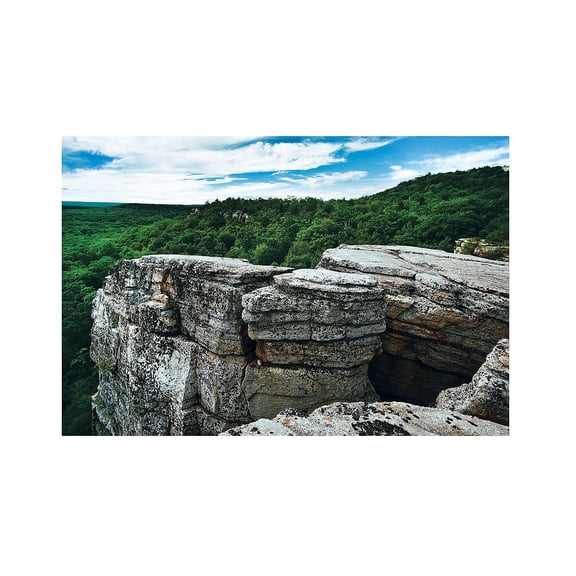 Wild Encounters Vbs Cliff Backdrop - Party Decor - 1 Piece