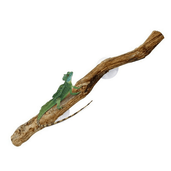 Reptile Branches for Climbing Bearded Dragon Branch Natural Non-Slip Habitat Decoratio pwm25