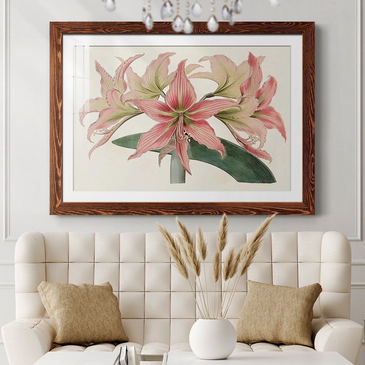 Amaryllis Varietals I-Premium Framed Print - Ready to Hang