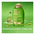 thumbnail image 3 of Shampoo Ogx Menta Extra 385 ml, 3 of 4