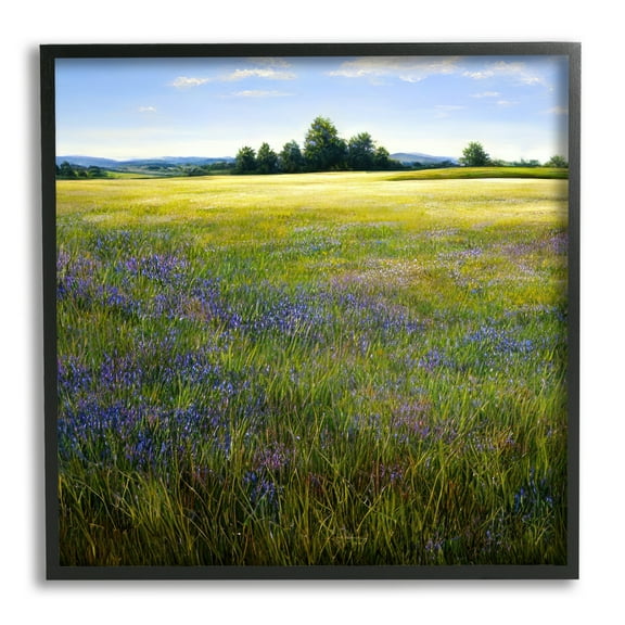 Stupell Industries Vast Meadow Landscape Landscape Painting Black Framed Art Print Wall Art, 12 x 12