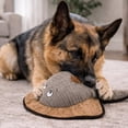 thumbnail image 4 of SnugArooz: Sally the Stingray -2-In-1 Plush Dog Toy, Hidden Ball, Squeak-Crinkle, Pet Multi-Sensory Play, 22" Soft Animal Companion, Cuddle-Fetch-Chew, 4 of 12