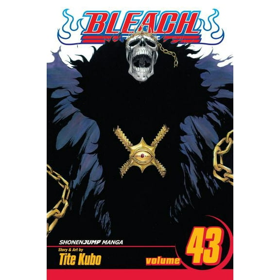 Bleach Bleach, Vol. 43: Kingdom of Hollows, (Paperback)