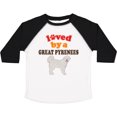 thumbnail image 3 of Inktastic Great Pyrenees Dog Lover Boys or Girls Toddler T-Shirt, 3 of 5