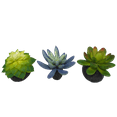 thumbnail image 6 of Komodo Artificial Green and Blue Plastic Succulent Plants with Gravel Base, 3 Pack, Aquarium Decor, 6 of 11