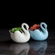 thumbnail image 3 of 2 uds. Macetas suculentas de cisne y , maceta para plantas, jarrón para plantas suculentas, flores, , decoración para hogar, 3 of 9