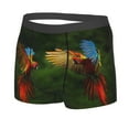 thumbnail image 2 of Bingfone Hybrid Parrot In The Forest Men'S Underwear - Casual Stretch Boxer Briefs-Small, 2 of 9