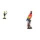 thumbnail image 1 of Estatua Creativa De Animal Para Mesa, Chimenea, Entrada, Estante, Regalo De Cumpleaños, Escultura De Rana Loro, Decoración De Escritorio, Recuerdo, Adorno De Jardín Para Dormitorio, Porche,, 1 of 8