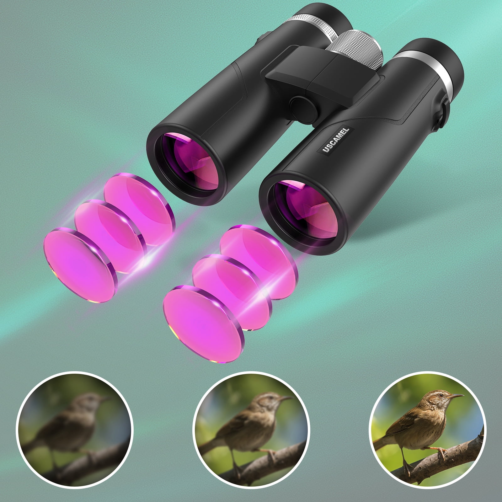 BEBANG 10x42 Binoculars for Adults, BAK4 Prism, FMC, Nitrogen-Filled Waterproof, HD Binoculars for Bird Watching Hunting Travel Camping