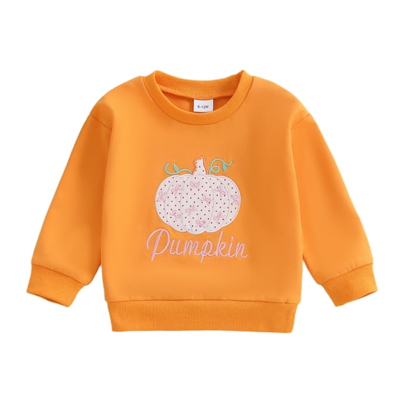 Kids Sweatshirt Toddler Baby Girl Boy Outfit Sweatshirt Long Sleeve Pullover Fall Winter Clothes 6 12 18 24 Months 2T 3T