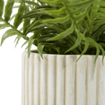 thumbnail image 2 of Bouclair White Potted Fern, 2 of 3