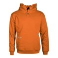 thumbnail image 1 of Sudadera con capucha Arborwear de doble grosor para hombre, 1 of 1