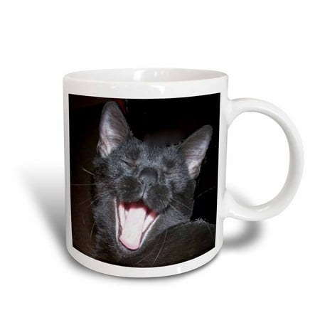 

3dRose Black Cat Yawning - Ceramic Mug 11-ounce