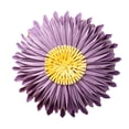 thumbnail image 1 of Funda de almohada con forma de flor de margarita 3D-sofá y cama-Funda de almohada con forma de flor Vhermosa Figuras Decorativas y Floreros, 1 of 5