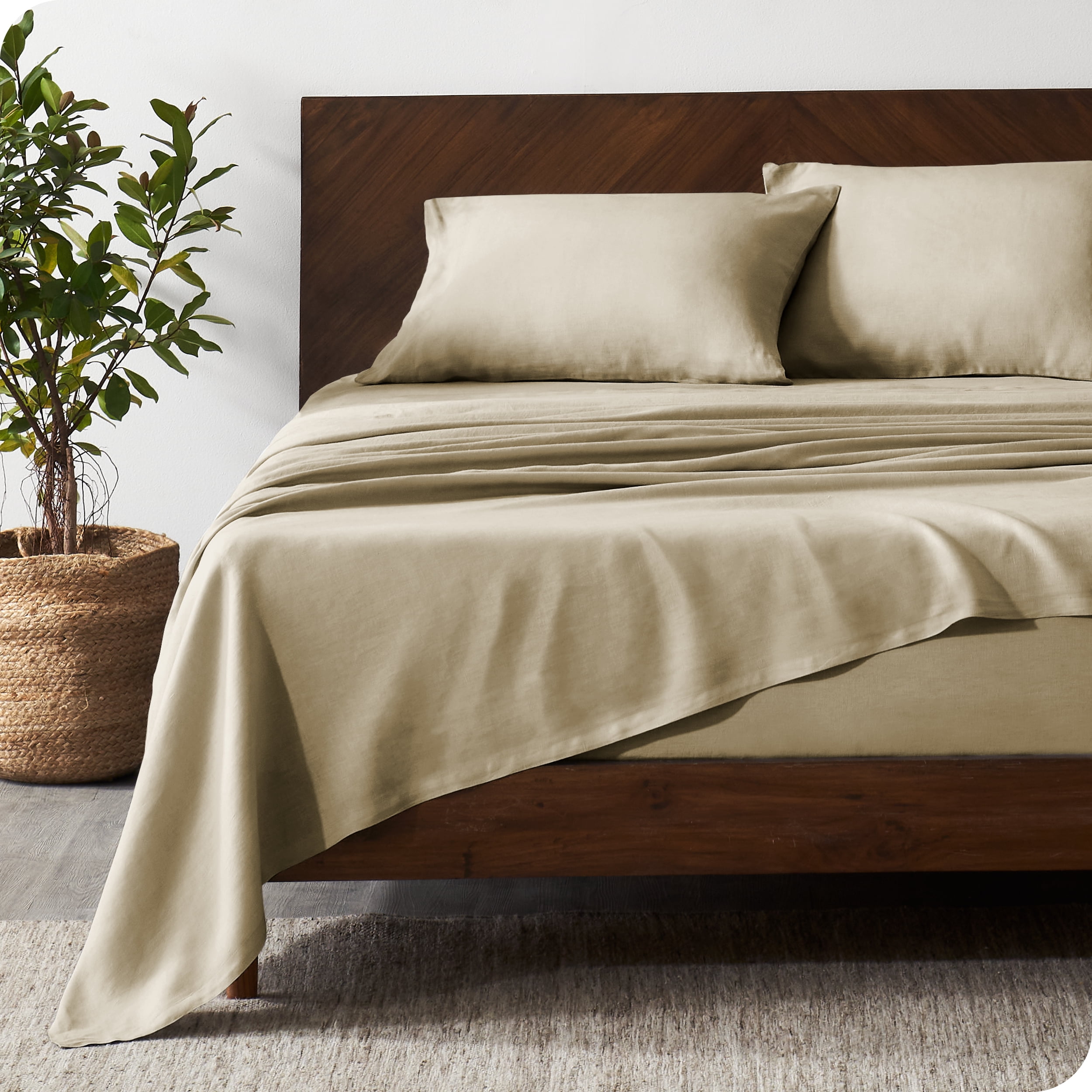 EveryDay Linens Gold Plain Solid Twin XL Size Size Five Piece [5] Bed Sheet Set (Deep Pocket) with Three [3] Pillow Cases. 600 Thread Count 並行輸入