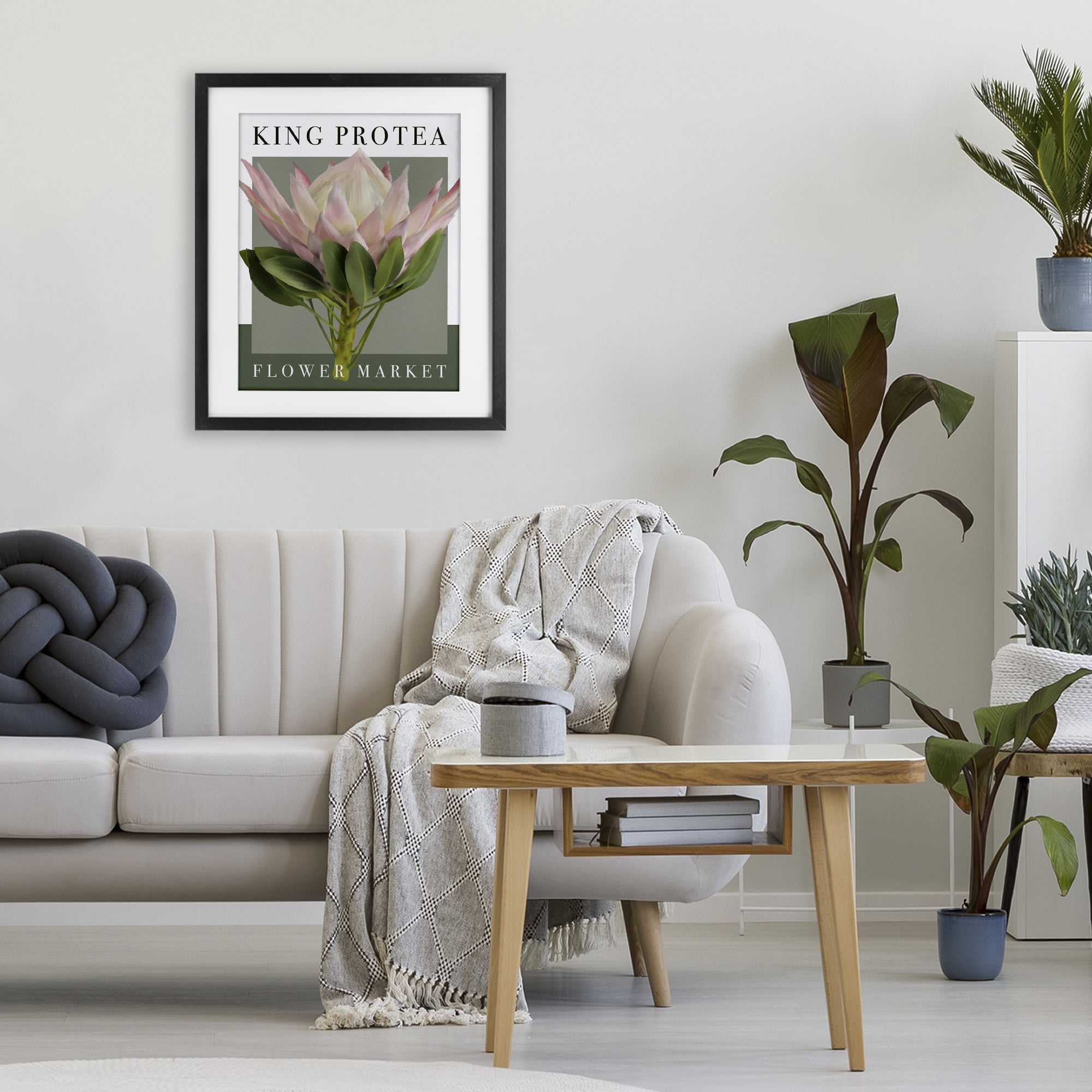 Stupell Industries King Protea Flower Market Black Framed Print Under Glass, design by Jennifer Stith