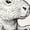 White, variant on Off to Cause a Kerfuffle T-Shirt, Funny Groundhog Scooter Tee, Silly Animal Humor Shirt, Cute Chaotic Meme Graphic Tee