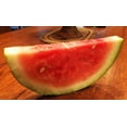 thumbnail image 2 of Bradford Watermelon Seeds Packet Super Sweet Southern Heirloom, 2 of 2