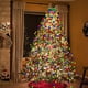 thumbnail image 3 of Los primeros del árbol de navidad del LED encienden la tira ligera que cambia 280/400 ultra brillante, 3 of 9