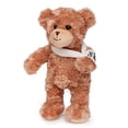 thumbnail image 2 of Oso de Peluche Jolitee con Brazo Roto Regalos para Niños 10.5 pulgadas, 2 of 2