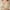 Beige, variant on Ohufall Women's 18 Hour Silky Soft Wireless Bra, Smoothing Full-Coverage T-Shirt Bra