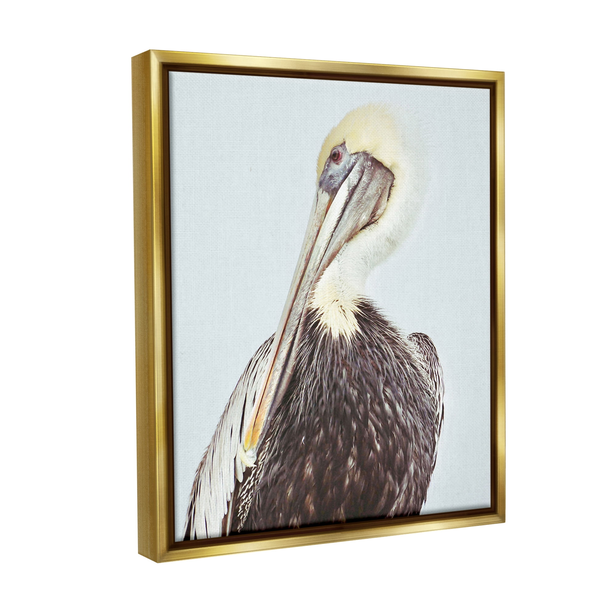 Stupell Industries Preening Pelican Photography Animals & Insects Painting Gold Floater Framed Canvas Art Print Wall Art, 25 x 31
