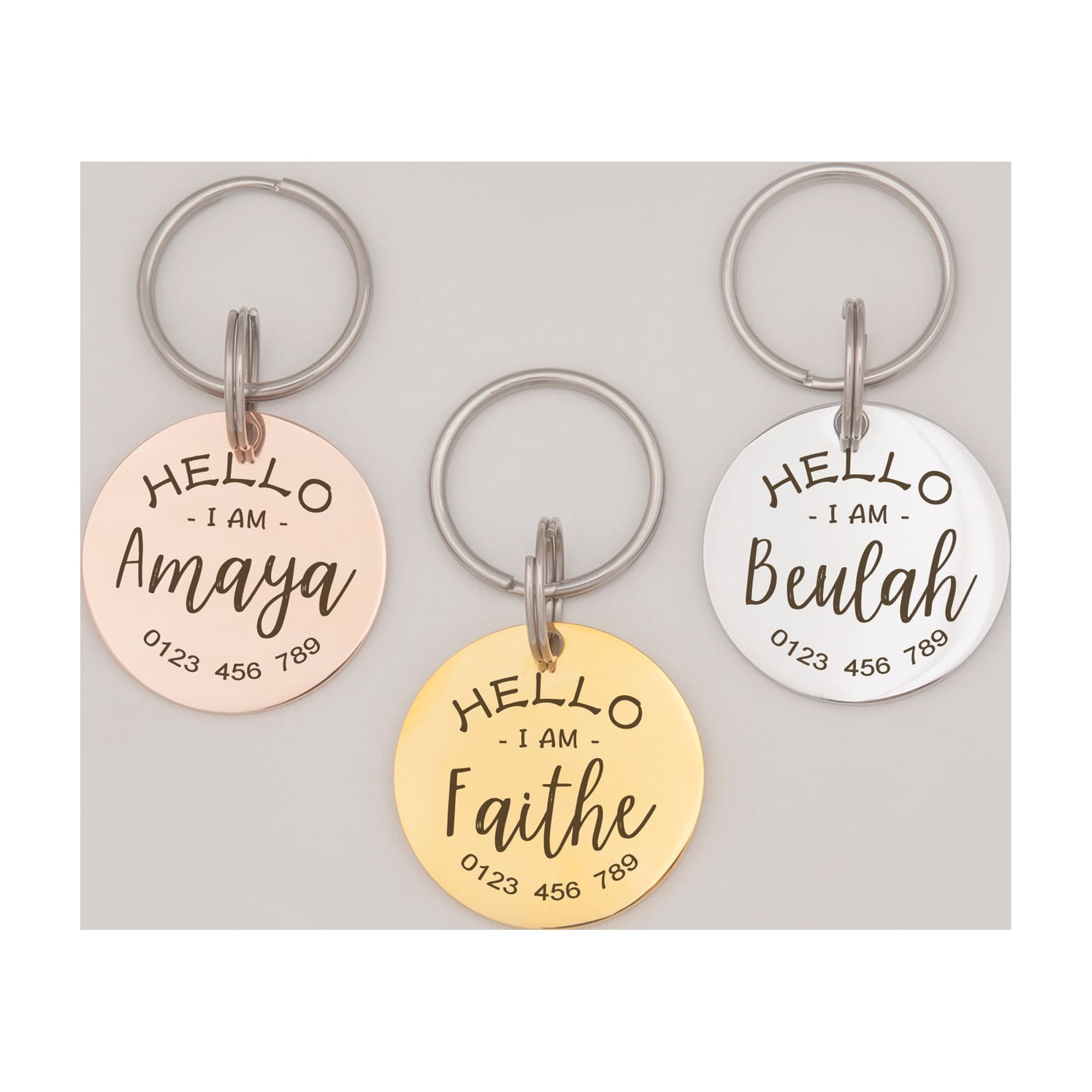 Anavia Metal Stainless Steel Round Name - Phone Number Birthday Holiday Christmas Engraved Dog Cat ID Tag, Silver