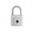 Silver, variant on Smart Fingerprint Padlock Keyless Waterproof Biometric Lock for Gym and Gate ,Easy DIY Installation