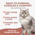 thumbnail image 5 of BestLife4Pets Mange Supplement for Cats - Natural Ear Mite Solution - Helps with Cat Skin Irritation and Dandruff, 5 of 15