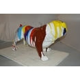 thumbnail image 6 of Nifao Modern art resin multicolored Bulldog statue – Home Decor Sculpture, 28"L x 12"W x 16"H, 6 of 11