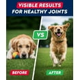thumbnail image 6 of StrellaLab Glucosamine Chews for Dogs - Hip & Joint Support with Chondroitin, MSM & Omega-3 Fish Oil - Joint Pain Relief - Bacon (180 ct), 6 of 10