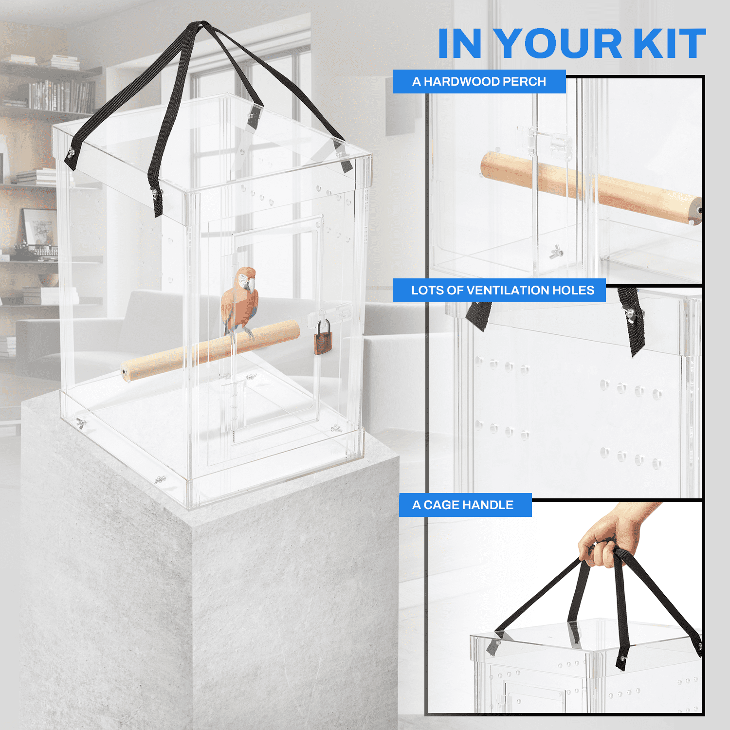 PENNZONI Medium Bird Carrier Display Case Amazon Liberia Ubuy