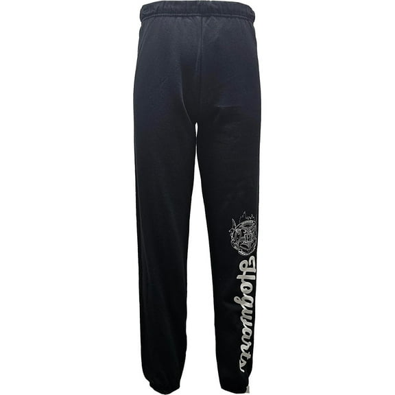 Harry Potter Hogwarts Adult Graphic Jogger Pant, S-XL