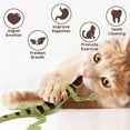 thumbnail image 2 of Juguete para gatos CiyVolyeen Lizard Catnip, paquete de 4 unidades, 36 x 15 cm, 2 of 7