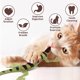thumbnail image 2 of Juguete para gatos CiyVolyeen Lizard Catnip, paquete de 4 unidades, 36 x 15 cm, 2 of 7