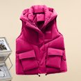 thumbnail image 1 of Puntoco Abrigo Moda Mujer Chaqueta Cálida Invierno Casual Sin Mangas Con Capucha Casual Outwearversatile top Liquidación Puntoco Puntoco-1, 1 of 4